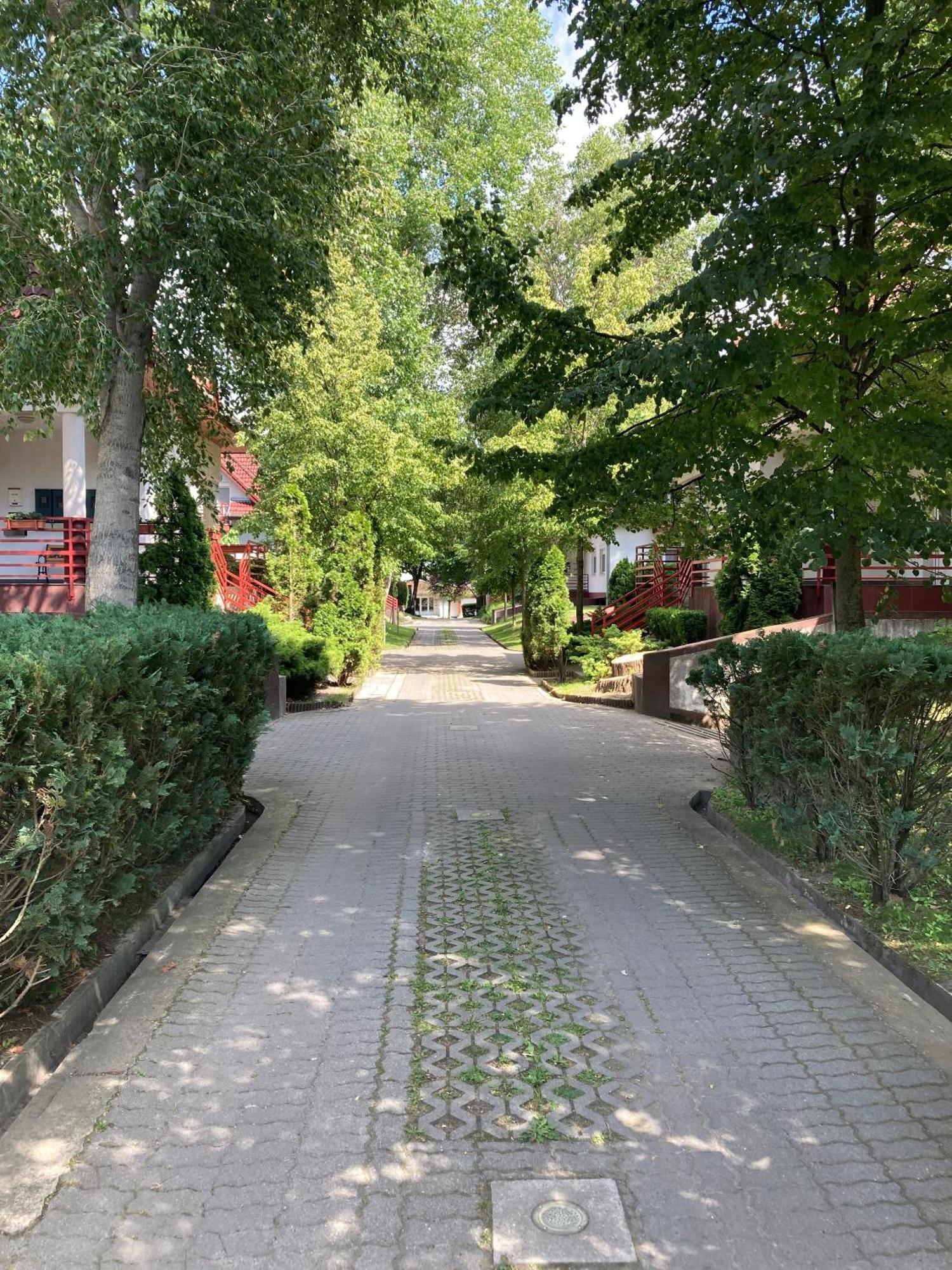 Kiraly Csaladi Apartman- Royal Family Apartment #Freegarage บูดาเปสต์ ภายนอก รูปภาพ
